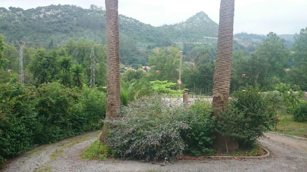 B&B El Jardin De Aes Puente Viesgo Extérieur photo
