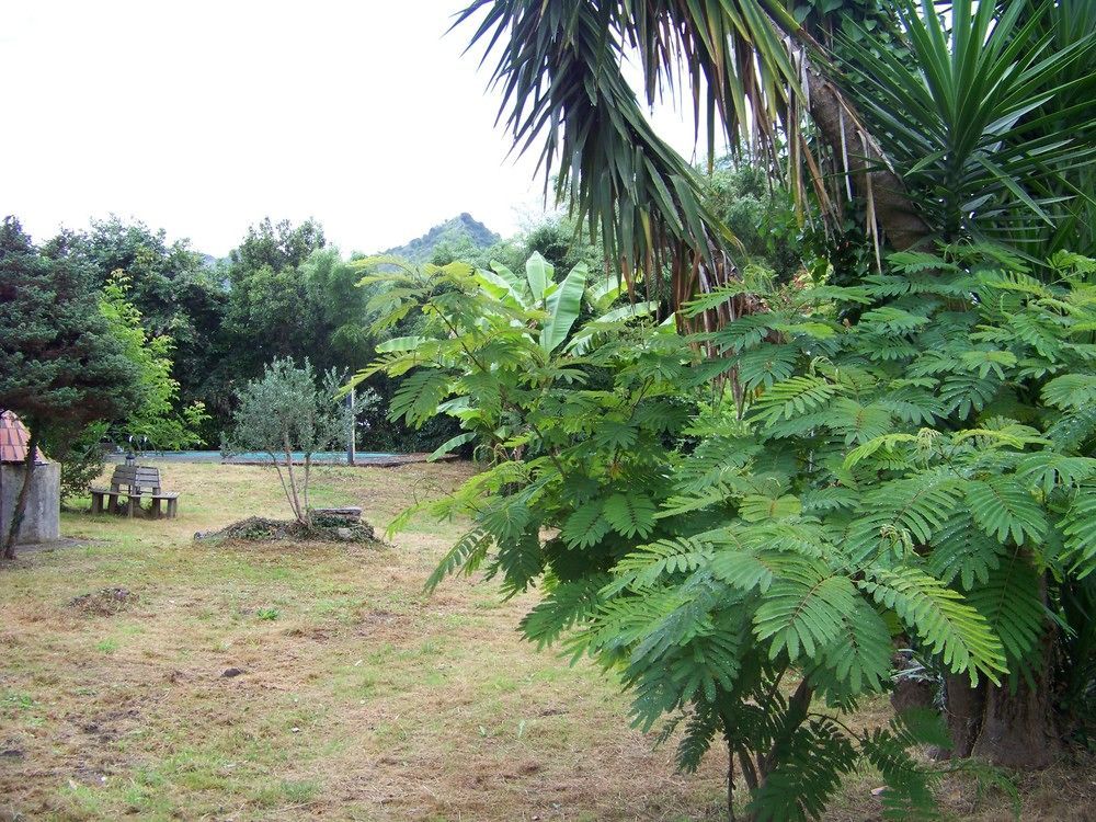 B&B El Jardin De Aes Puente Viesgo Extérieur photo